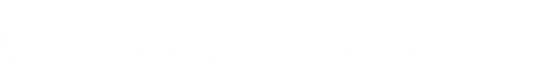Lovely Lily Designs